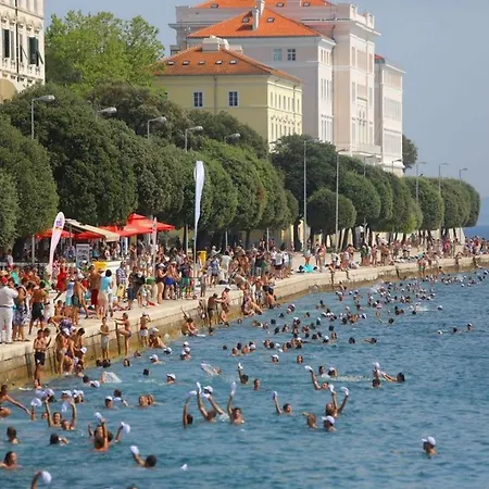 Nedeljka * Zadar